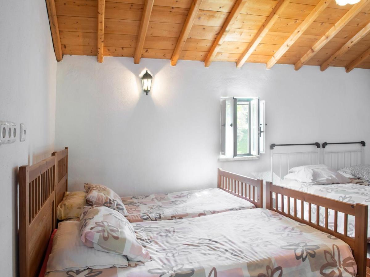 몬테모르오노보 House With Authentic Tiling And Antique Furniture 빌라 외부 사진