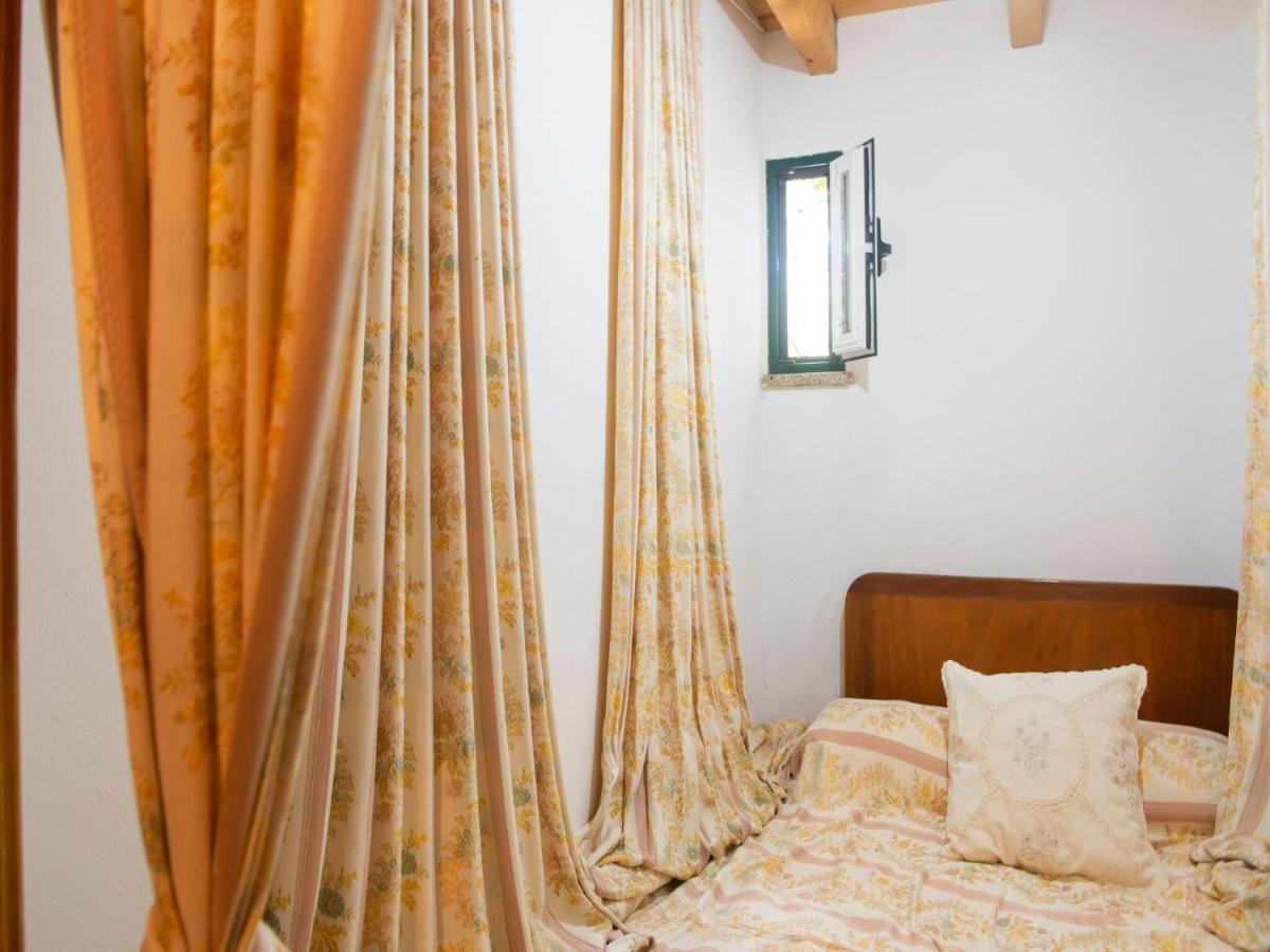 몬테모르오노보 House With Authentic Tiling And Antique Furniture 빌라 외부 사진